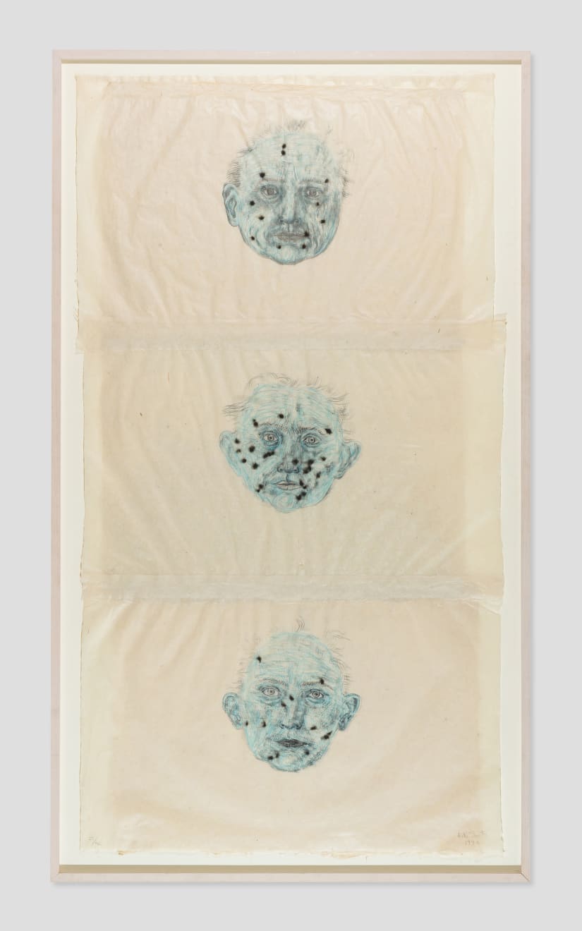 Kiki Smith, Constellations, 1996