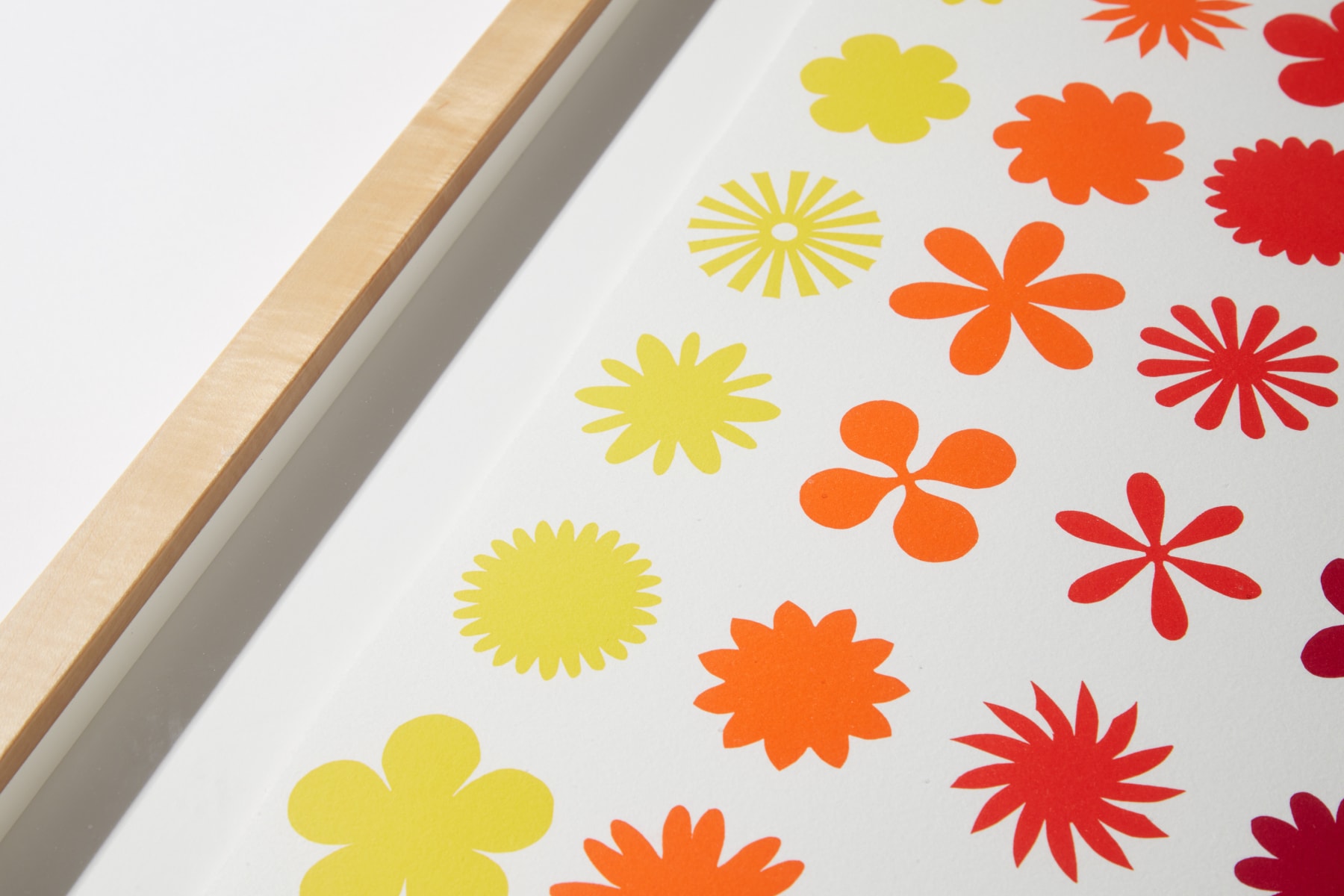 Polly Apfelbaum, Rainbow Love Mountain Ranch, New Mexico, 2007