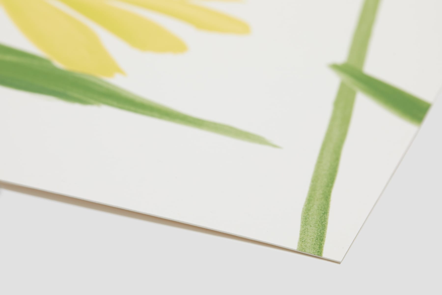 Alex Katz, Spring Flowers, 2017