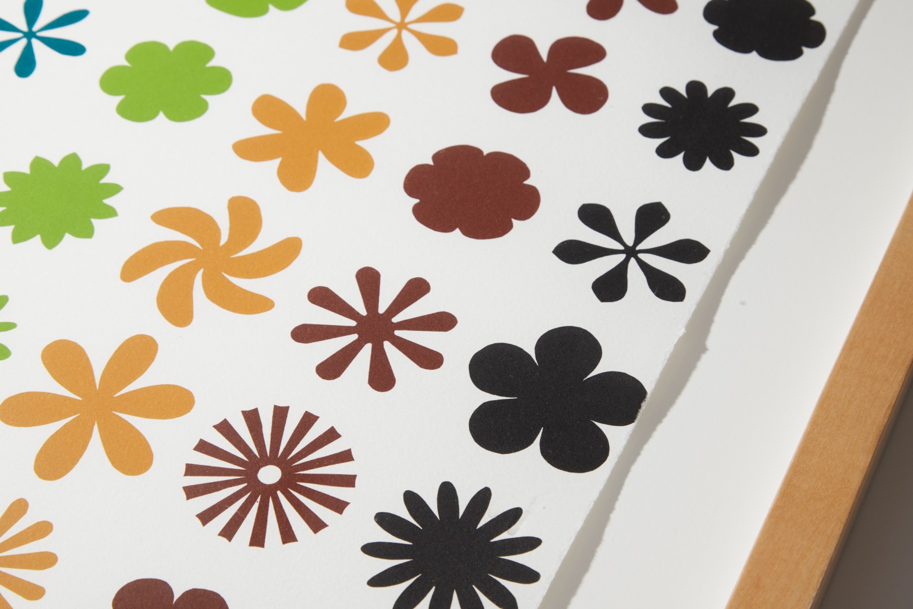 Polly Apfelbaum, Rainbow Love Mountain Ranch, New Mexico, 2007