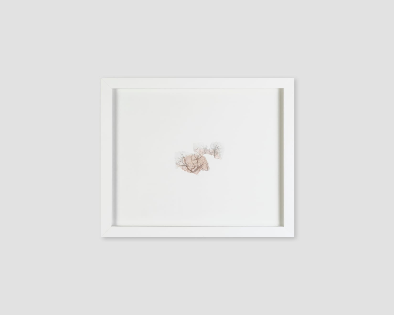 Katrina Bello, Hawak (Lupa), 2025