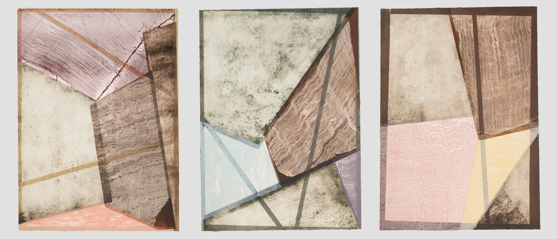 Martha Tuttle, The Colors of a Cholla Cactus after Rain in the Late Summer or Early Fall (Right), 2022