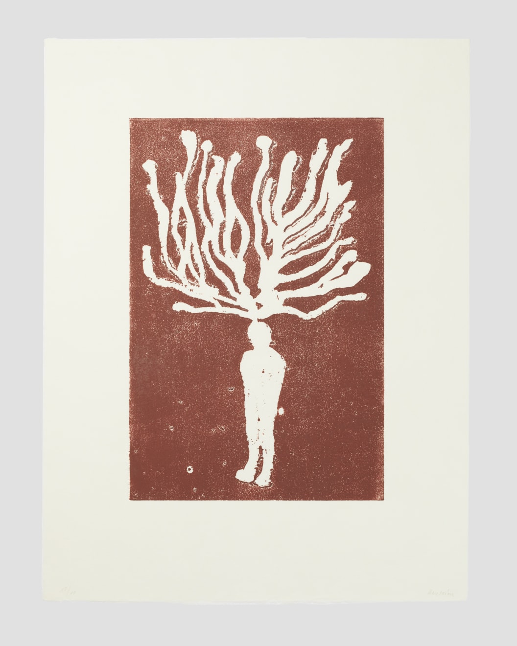 Manuel Amorim, Metamorphose, 2007