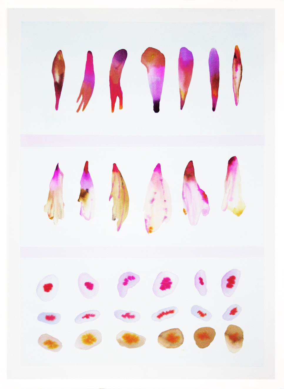 Sistema Innaturale #6, watercolor on paper, 70x50 cm, 2015