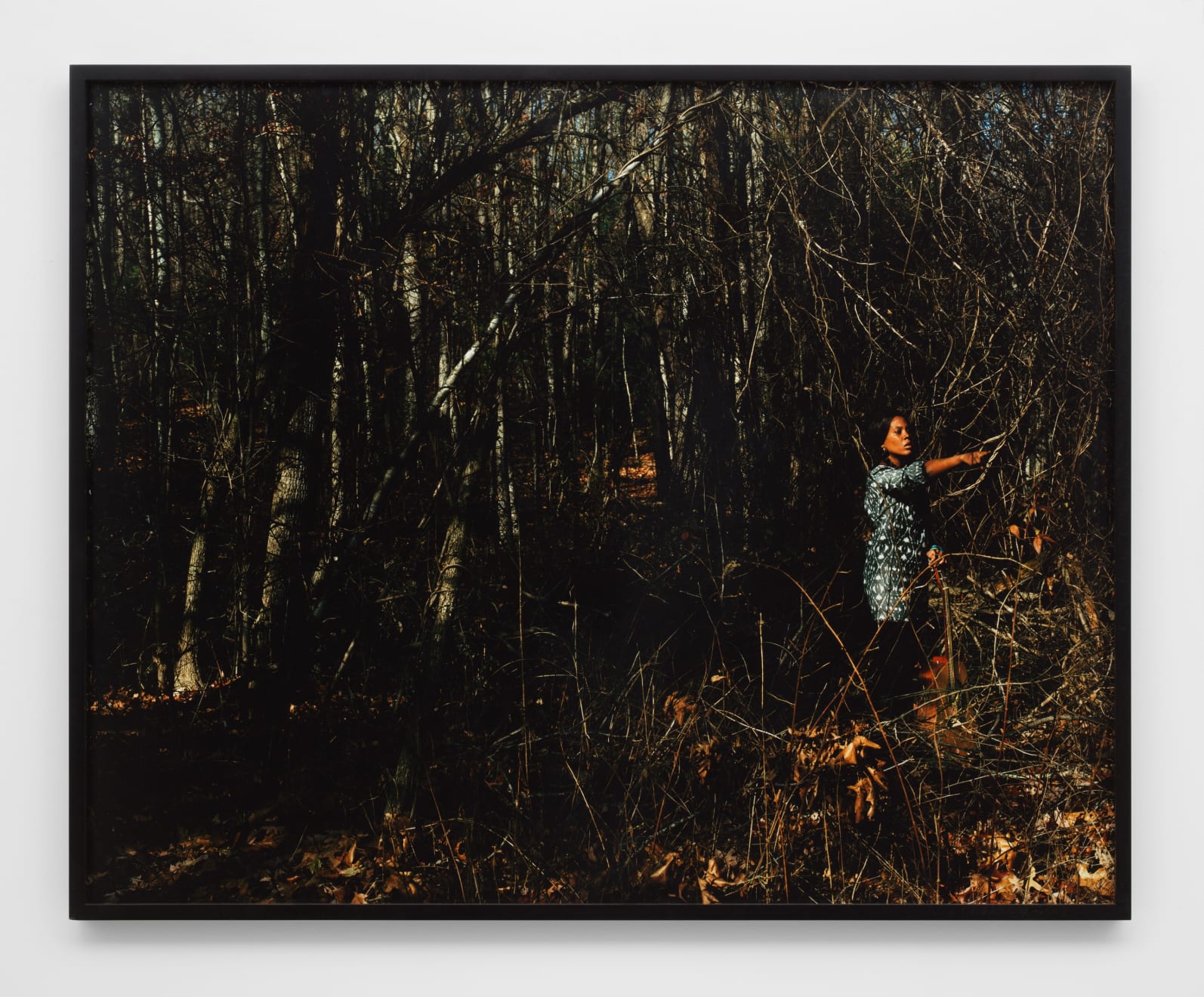 Xaviera Simmons Thundersnow Road, 2010 Chromogenic color print 41 1/8 x 51 1/8 x 1 3/4 in framed (104.5 x 129.9 x 4.4 cm framed) Edition of 3 (EC 1/1) (XS001)