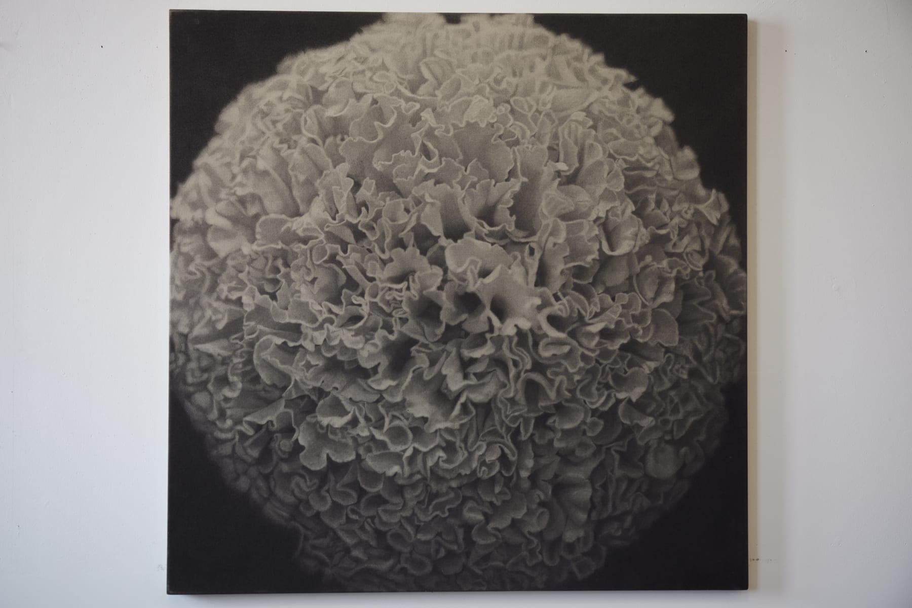 Kunié Sugiura (b. 1942, Nagoya) Yellow Mum, 1969 Photographic emulsion, graphite on canvas Collection of SFMOMA Purchase, by exchange, through gifts of Peggy Guggenheim and Mr. and Mrs. Louis Honig