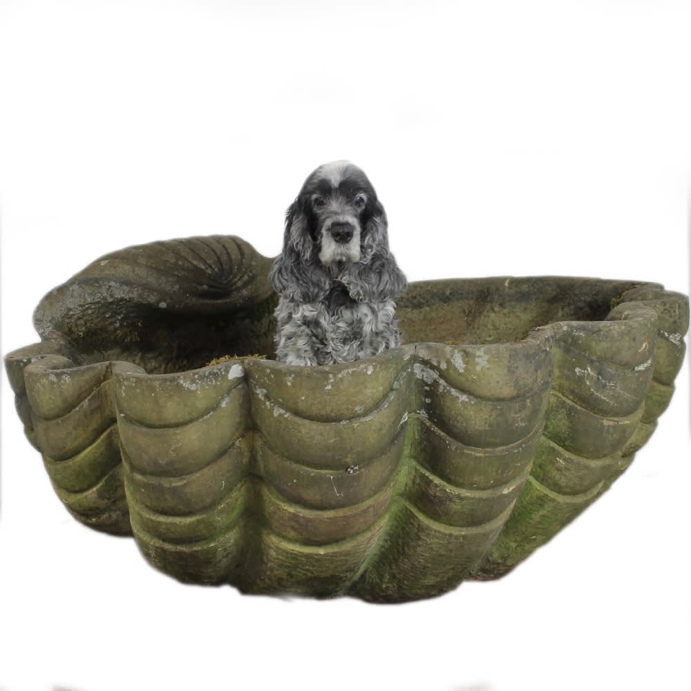 Large Early 19th Century Carved Stone Clam Shell Fountain Bowl ( sold )