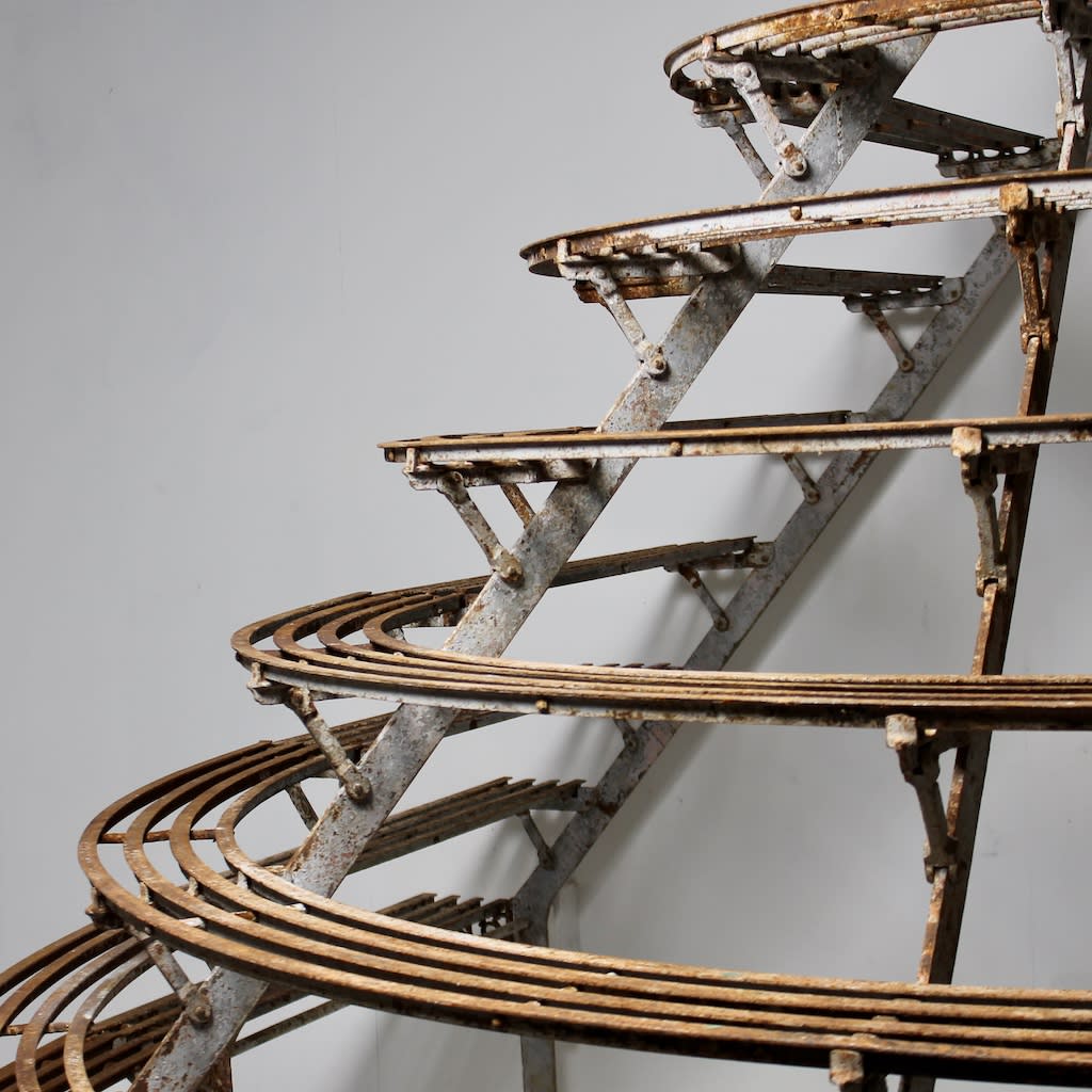 Very Large Scale Orangery Specimen Plant Display Stand ( sold )