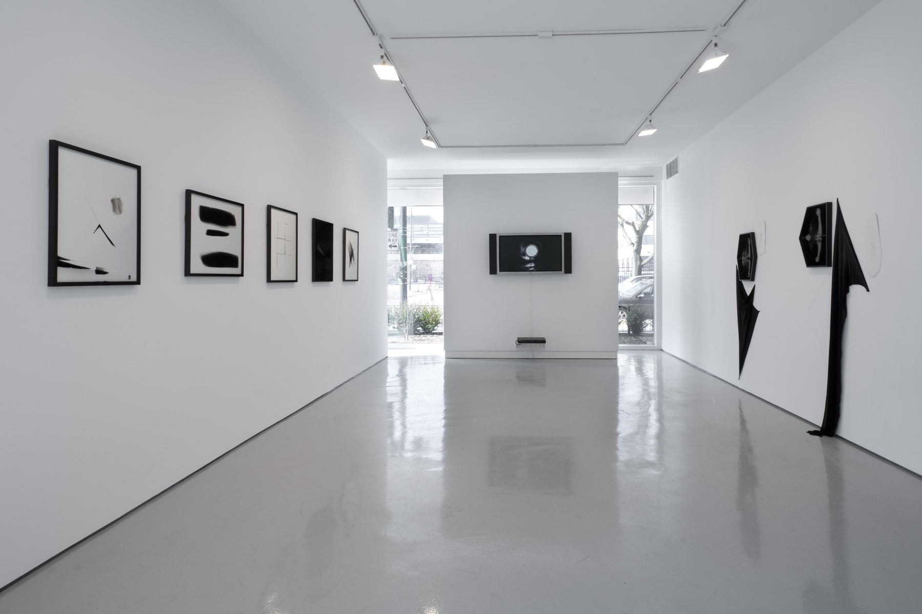 Sheree Hovsepian: Haptic Wonders at Monique Meloche Gallery, Chicago