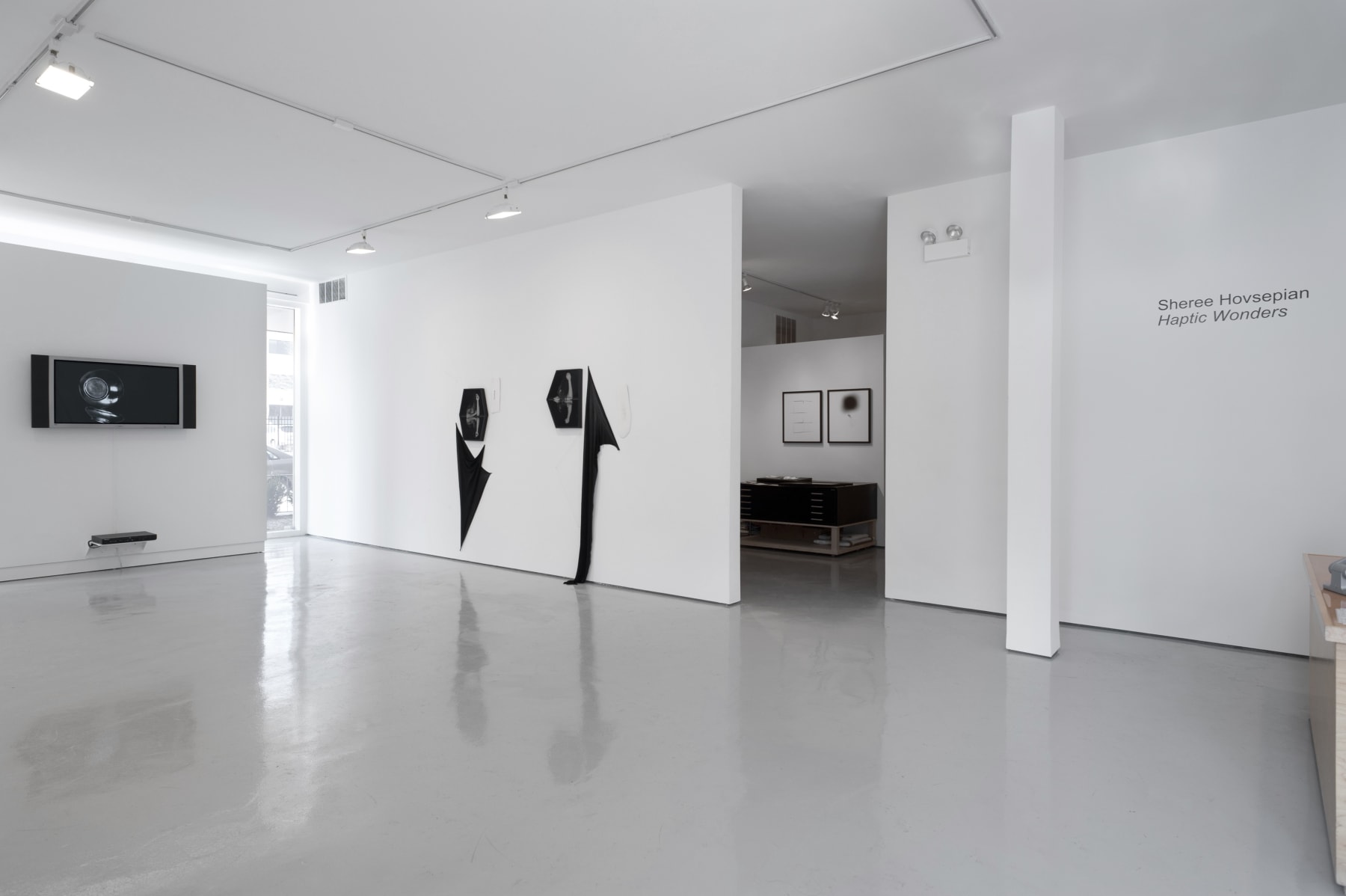 Sheree Hovsepian: Haptic Wonders at Monique Meloche Gallery, Chicago