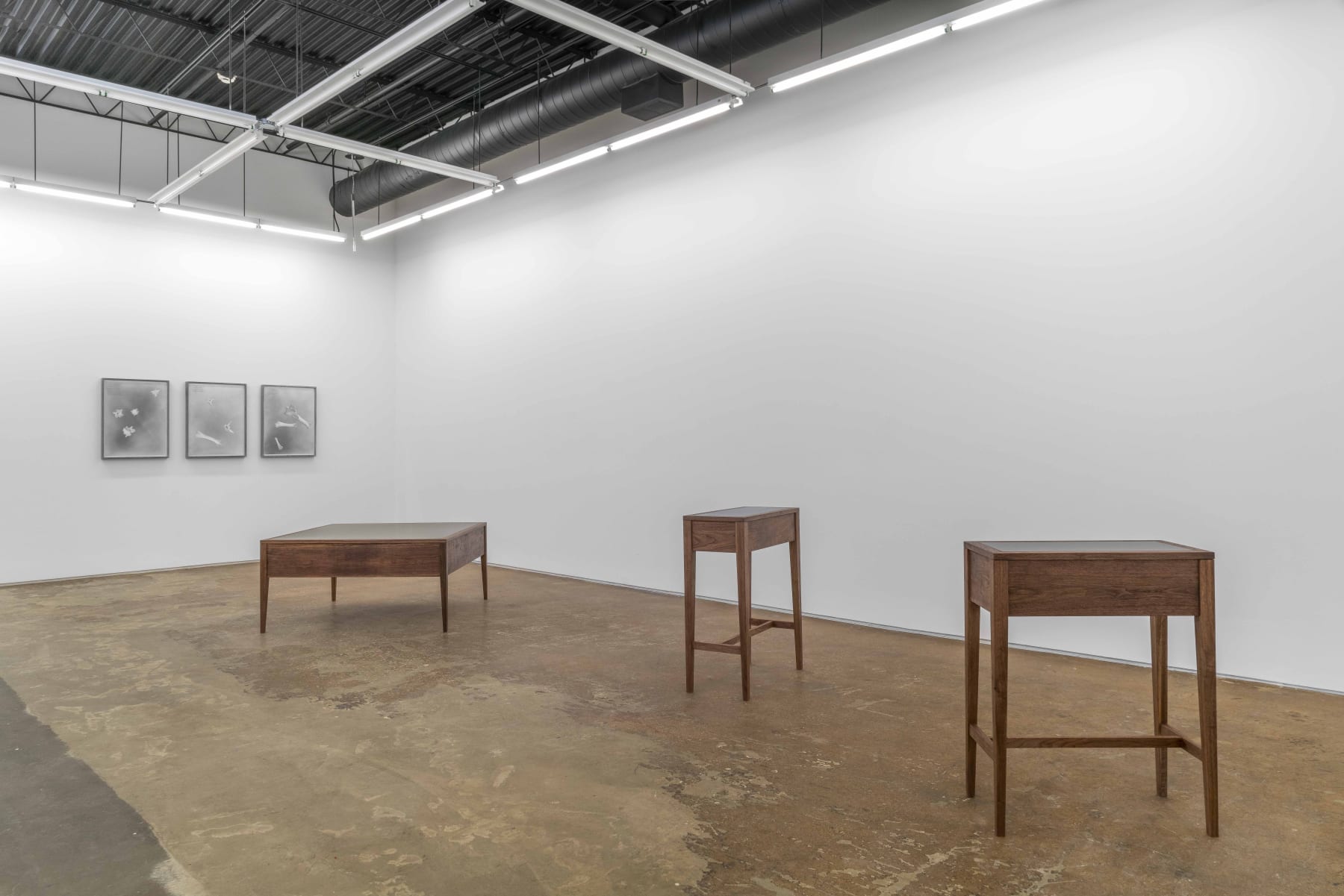 Nate Young: The Transcendence of Time at Monique Meloche Gallery, Chicago