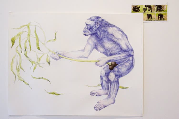 Alison Ruttan, Bigger and Better, 2005, Ink and watercolor on paper, digital photo on archival paper, 40 x 50 inches