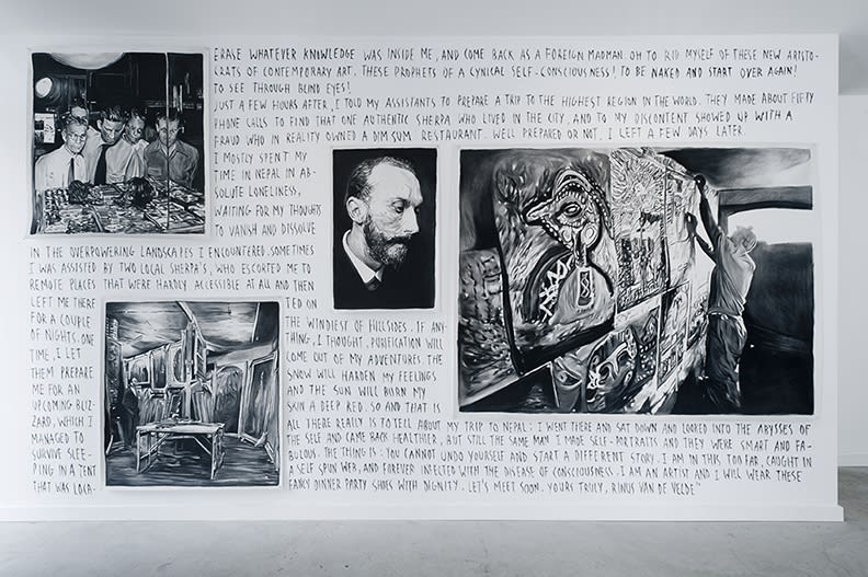 Rinus Van de Velde: Dear David Johnson, at Monique Meloche Gallery Chicago