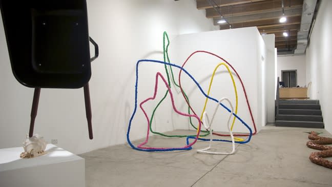 Installation view, Justin Cooper: Paranormaldise, February 6 - March 14, 2009.