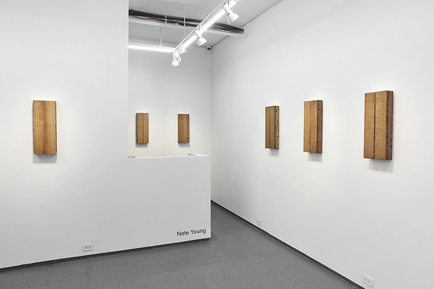 Nate Young at Monique Meloche Gallery LES, New York