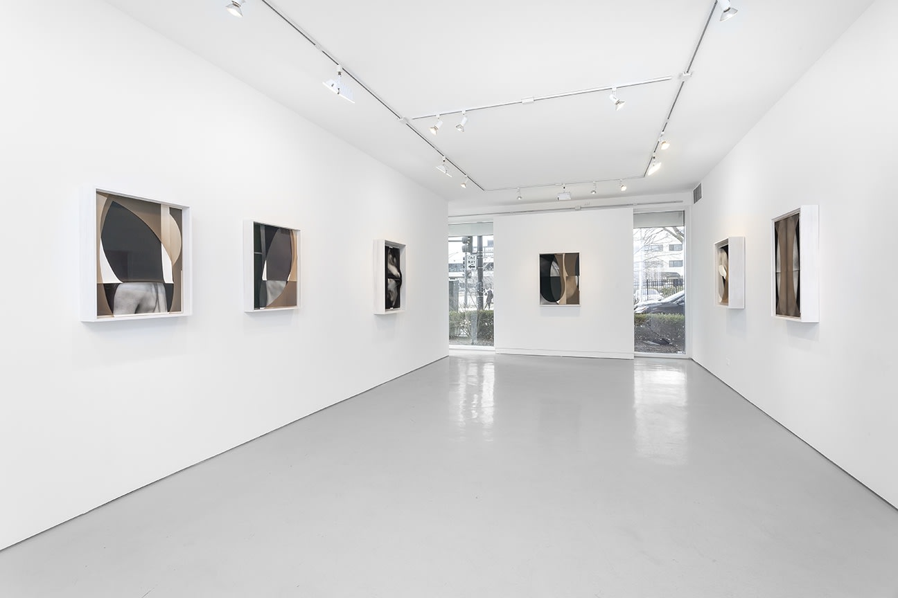 Sheree Hovsepian: The Altogether. at Monique Meloche Gallery, Chicago