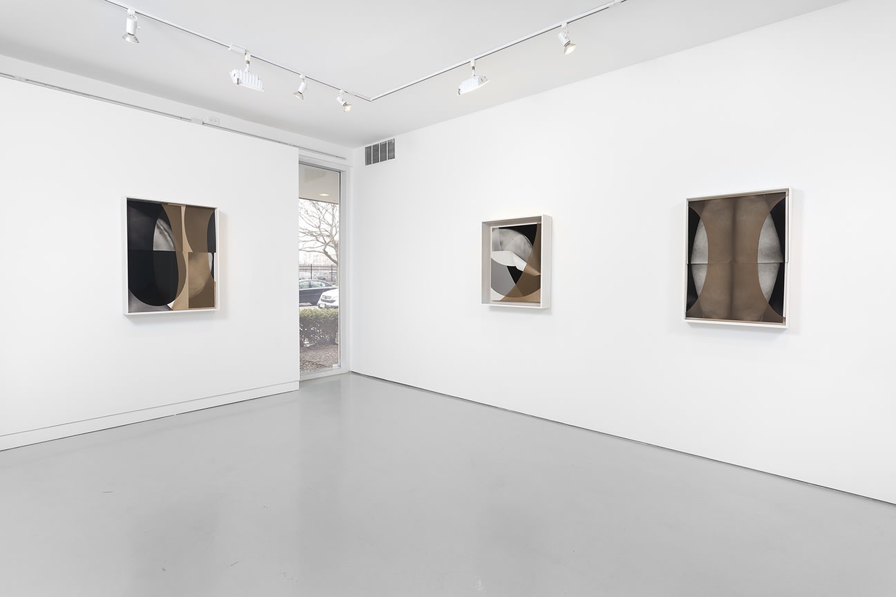 Sheree Hovsepian: The Altogether. at Monique Meloche Gallery, Chicago