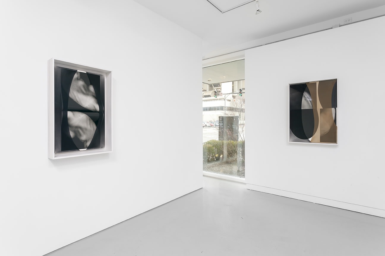 Sheree Hovsepian: The Altogether. at Monique Meloche Gallery, Chicago