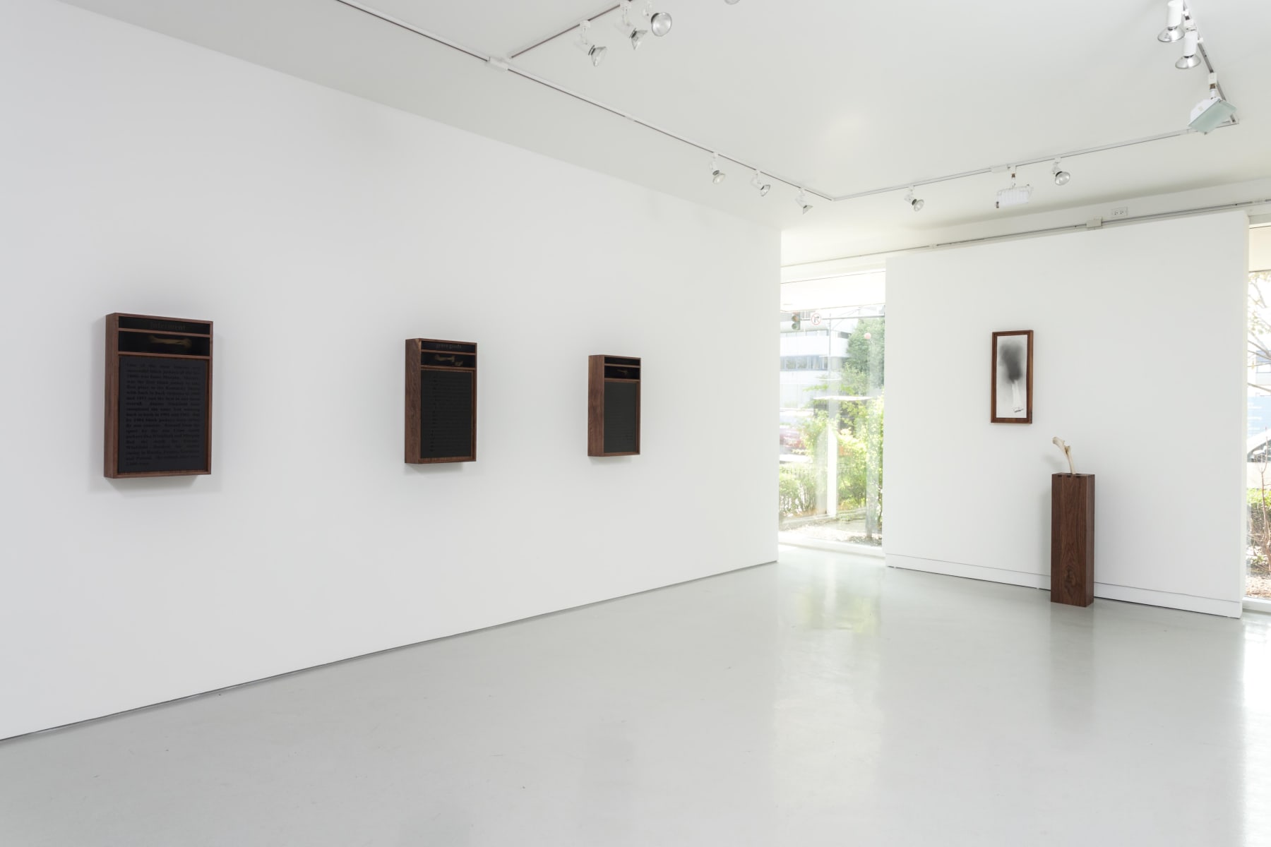 Nate Young: Cleromancy at Monique Meloche Gallery, Chicago