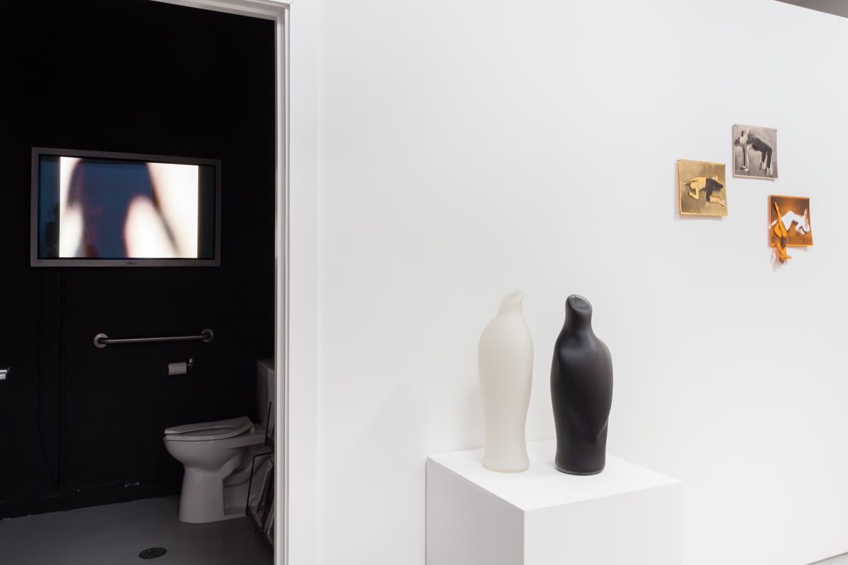 Brendan Fernandes: Free Fall at Monique Meloche Gallery, Chicago