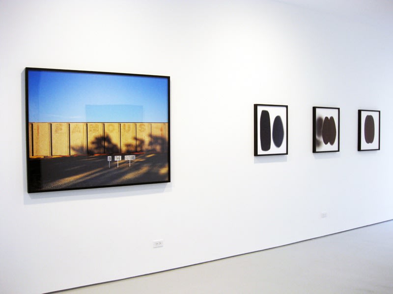 Justin Cooper, Sheree Hovsepian, Joel Ross, Carrie Schneider: Winter Experiment: Year in Review 2012 at Monique Meloche Gallery, Chicago
