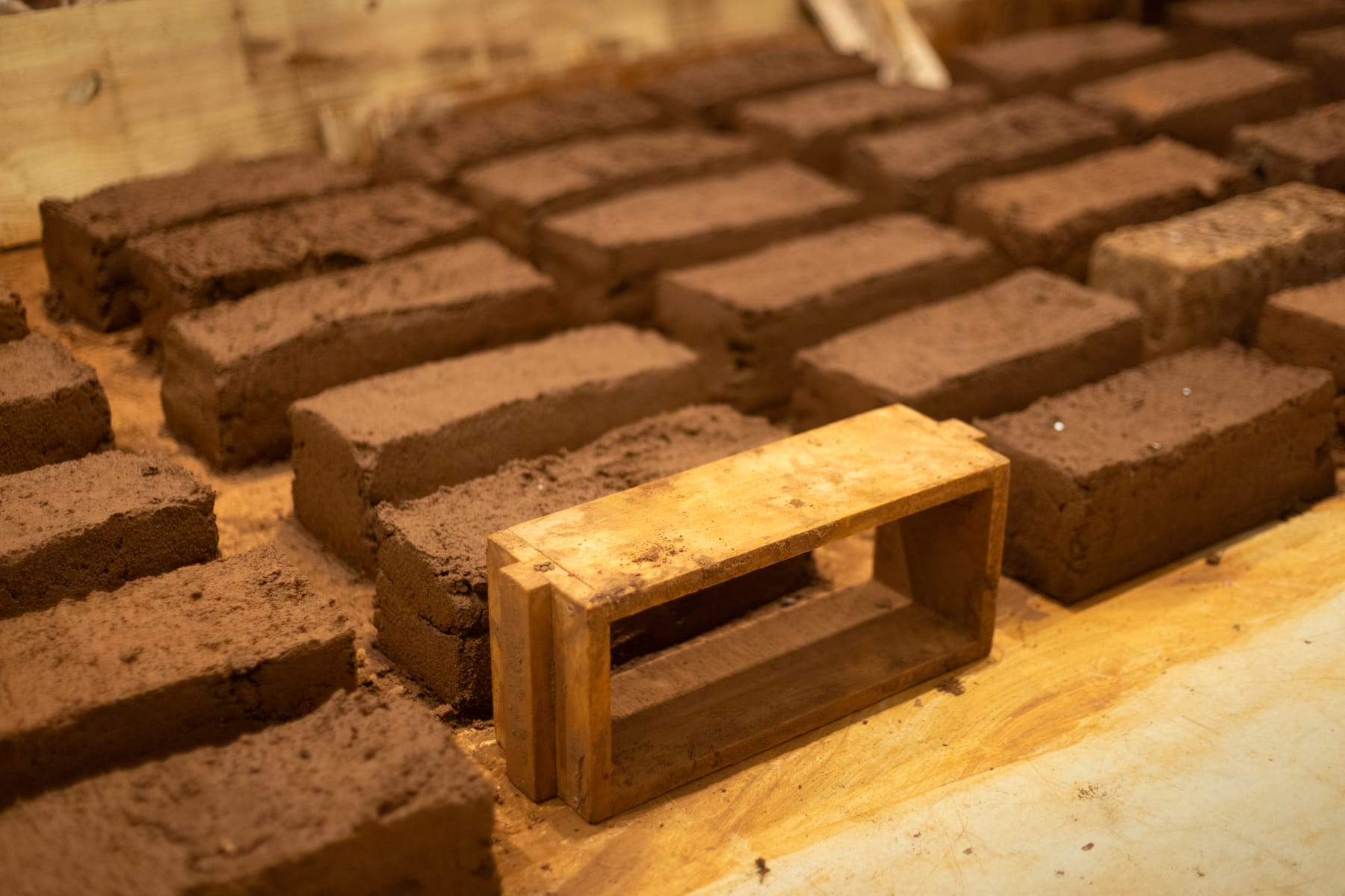 Por uma outra ecologia: o que a matéria sabe sobre nós, 2024 | Solar dos Abacaxis | Rio de Janeiro