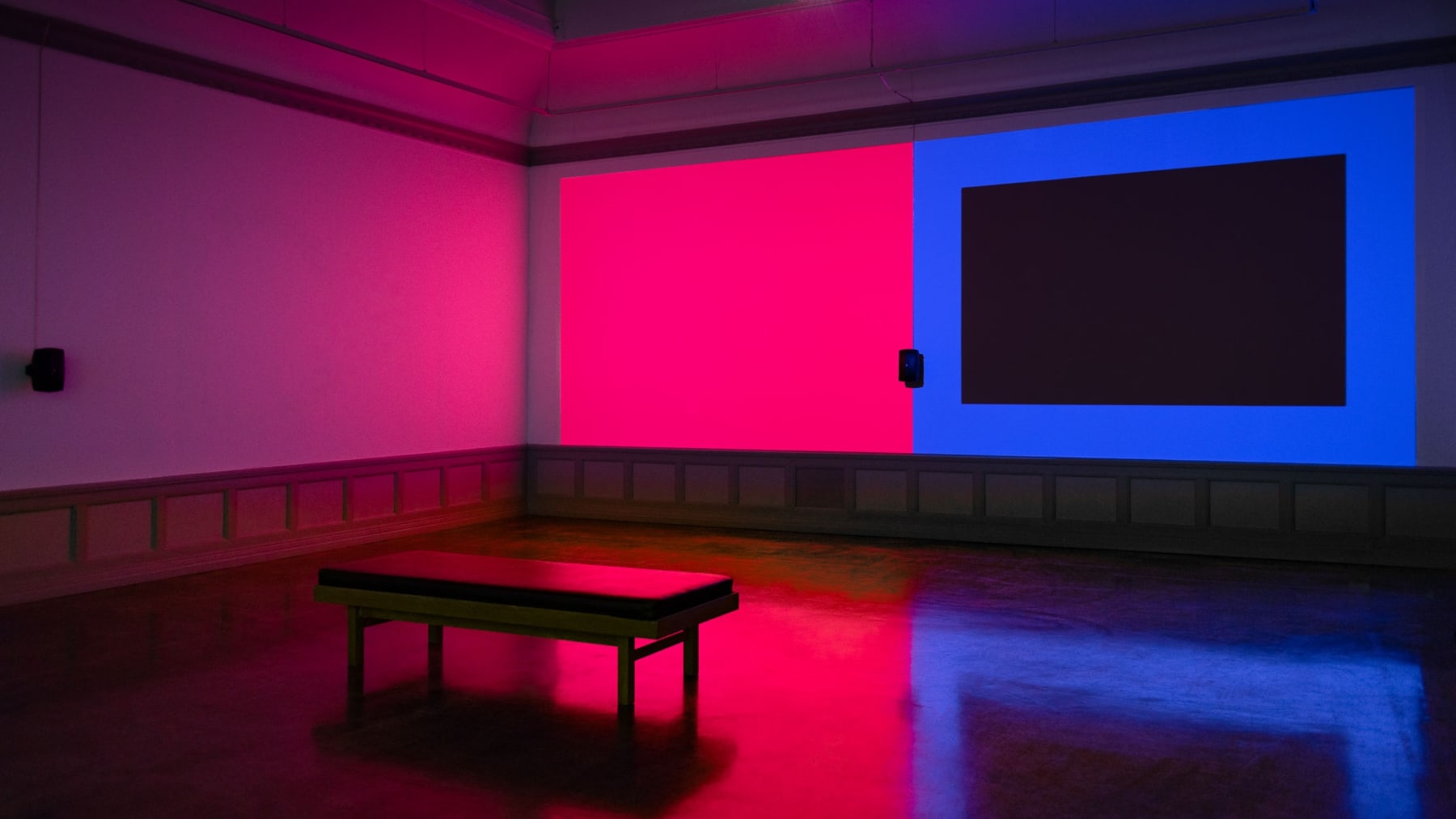 Violet Dennison, Dance Dance Revolution, 2019