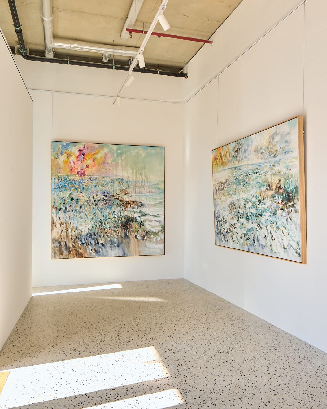 Pathway To Equilibrium at Otomys. Photographed by Bernie Wright.