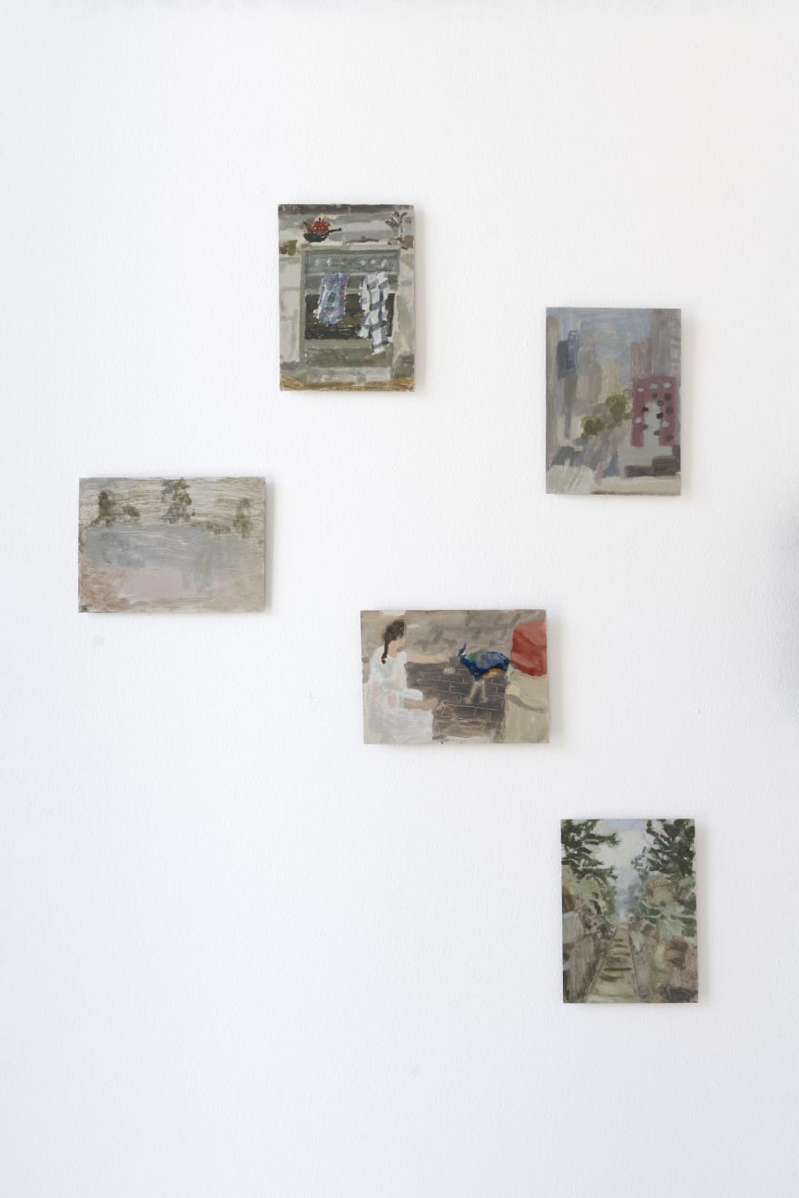 Covered Ground at Otomys. Photographed by Astrid Mulder.