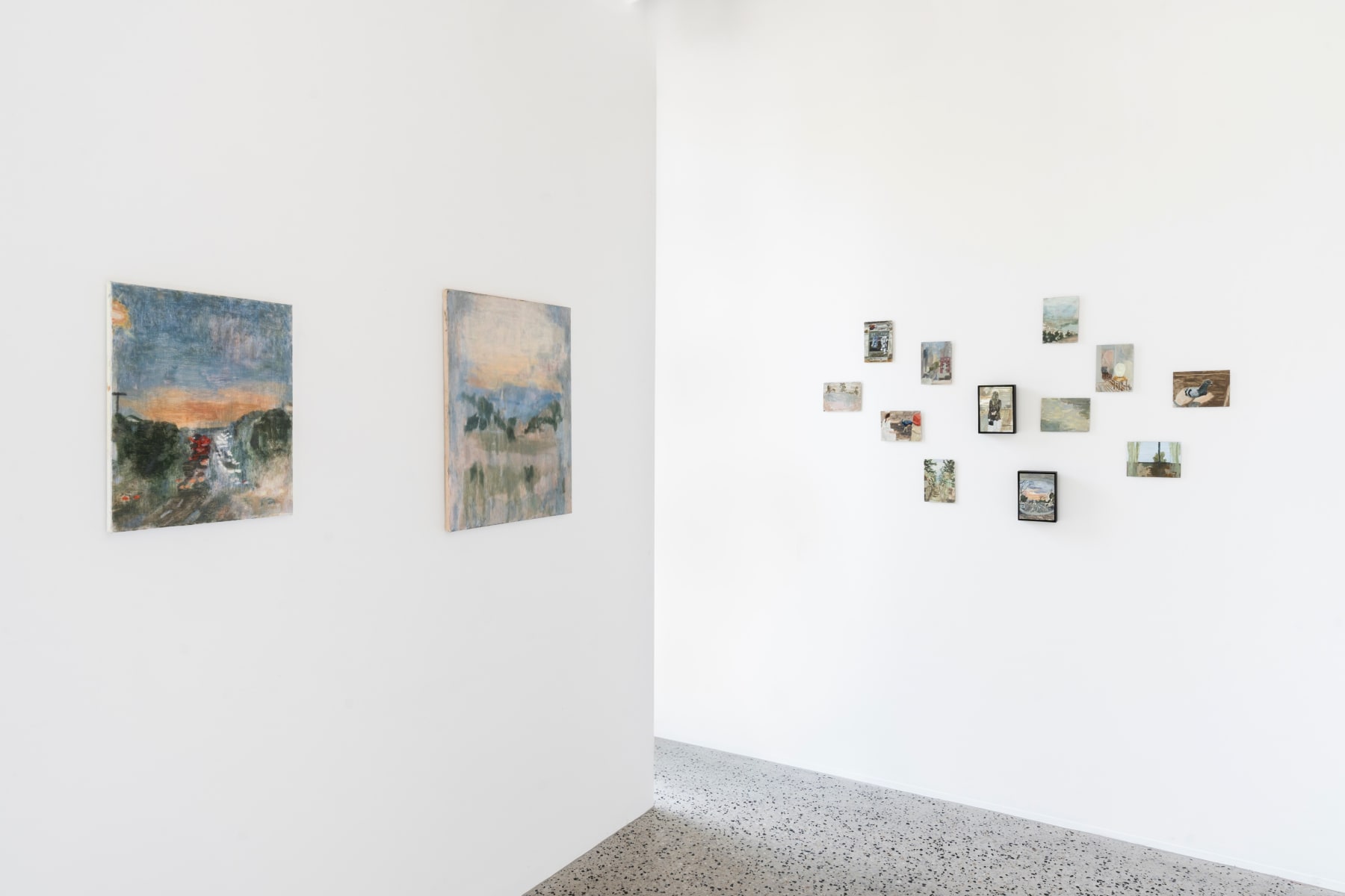 Covered Ground at Otomys. Photographed by Astrid Mulder.