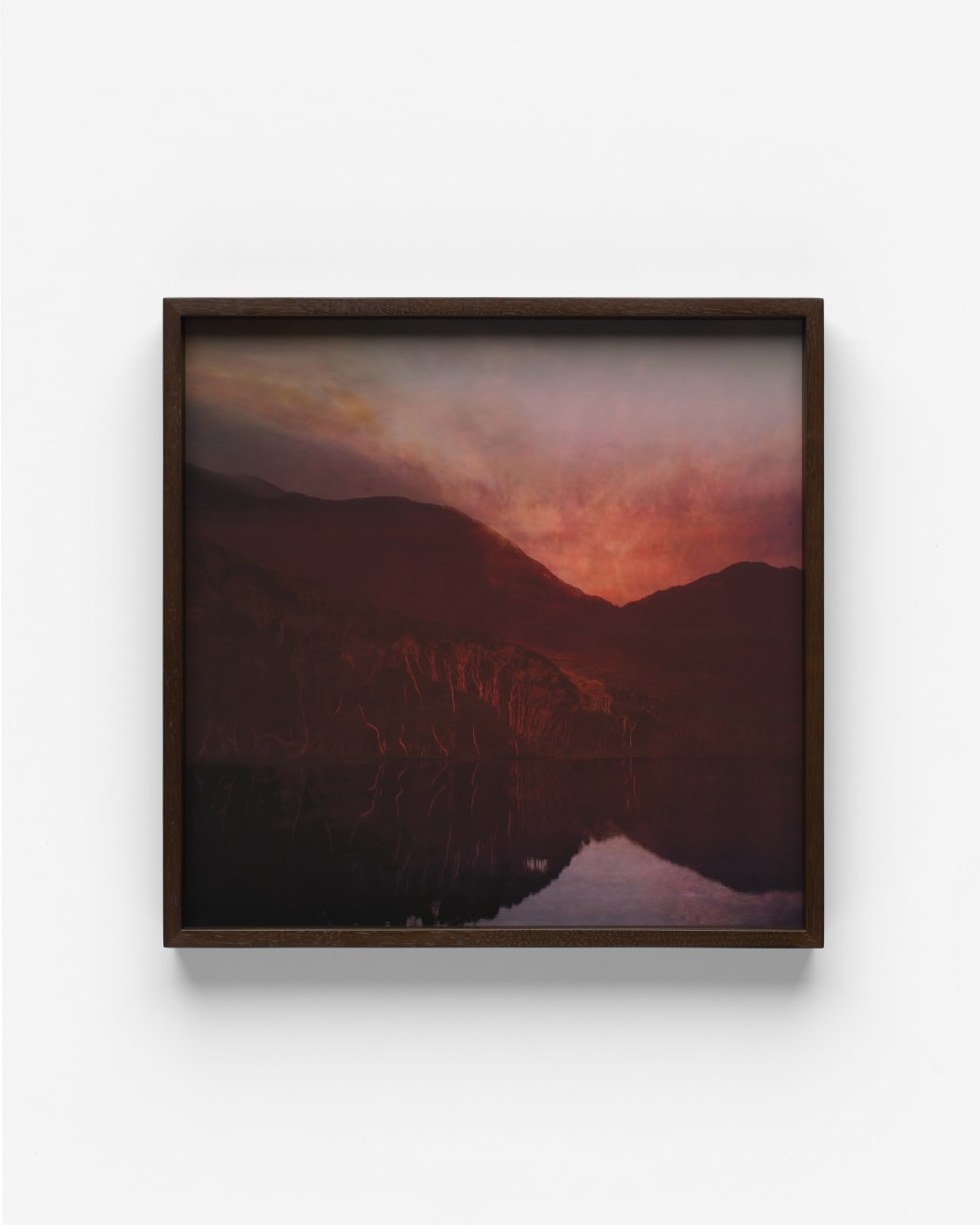 Distinct and Warm by Sophia Szilagyi. Documented by Matthew Stanton.