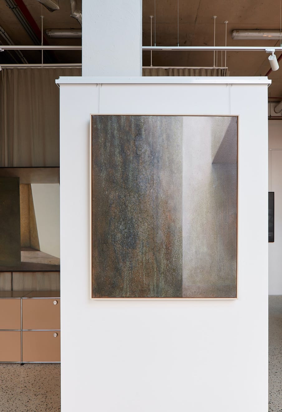 The Measure of Light at Otomys. Photographed by Bernie Wright.