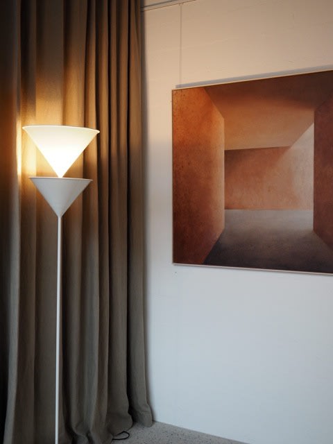Otomys. Photographed by Nicola Rodgers.