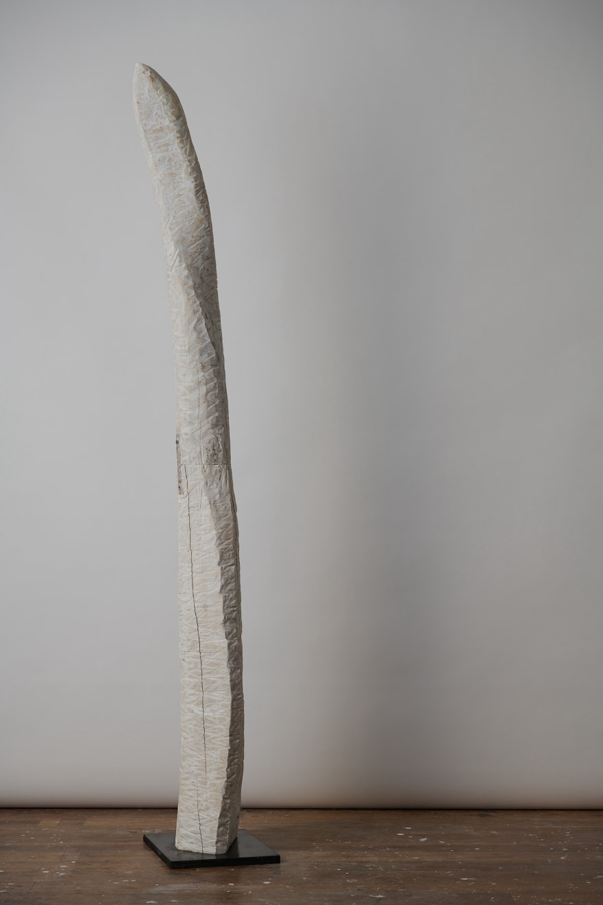 Joel Sorensen Cypress with Pigment (On a Steel Base) 40 x 212 x 29.5cm $6,000.00