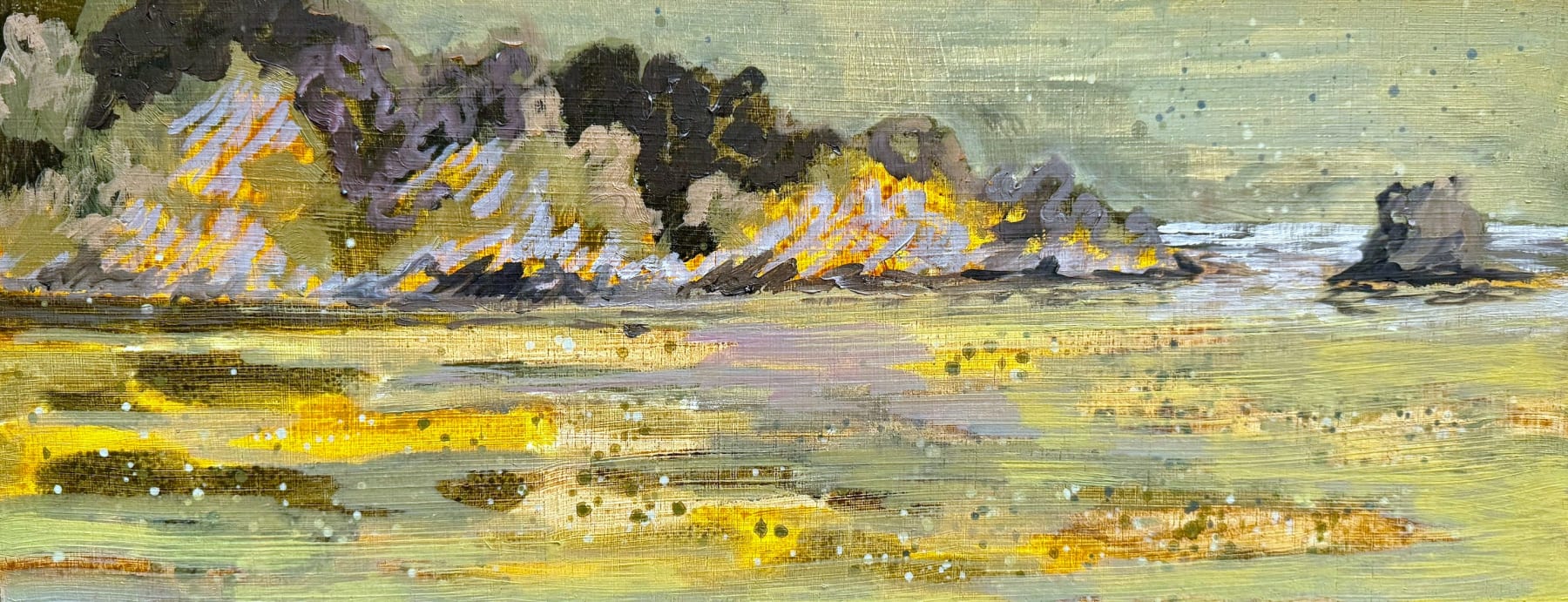 Mangrove Bay After the Squall Oil on Board 45 x 17cm $1,500.00 SOLD