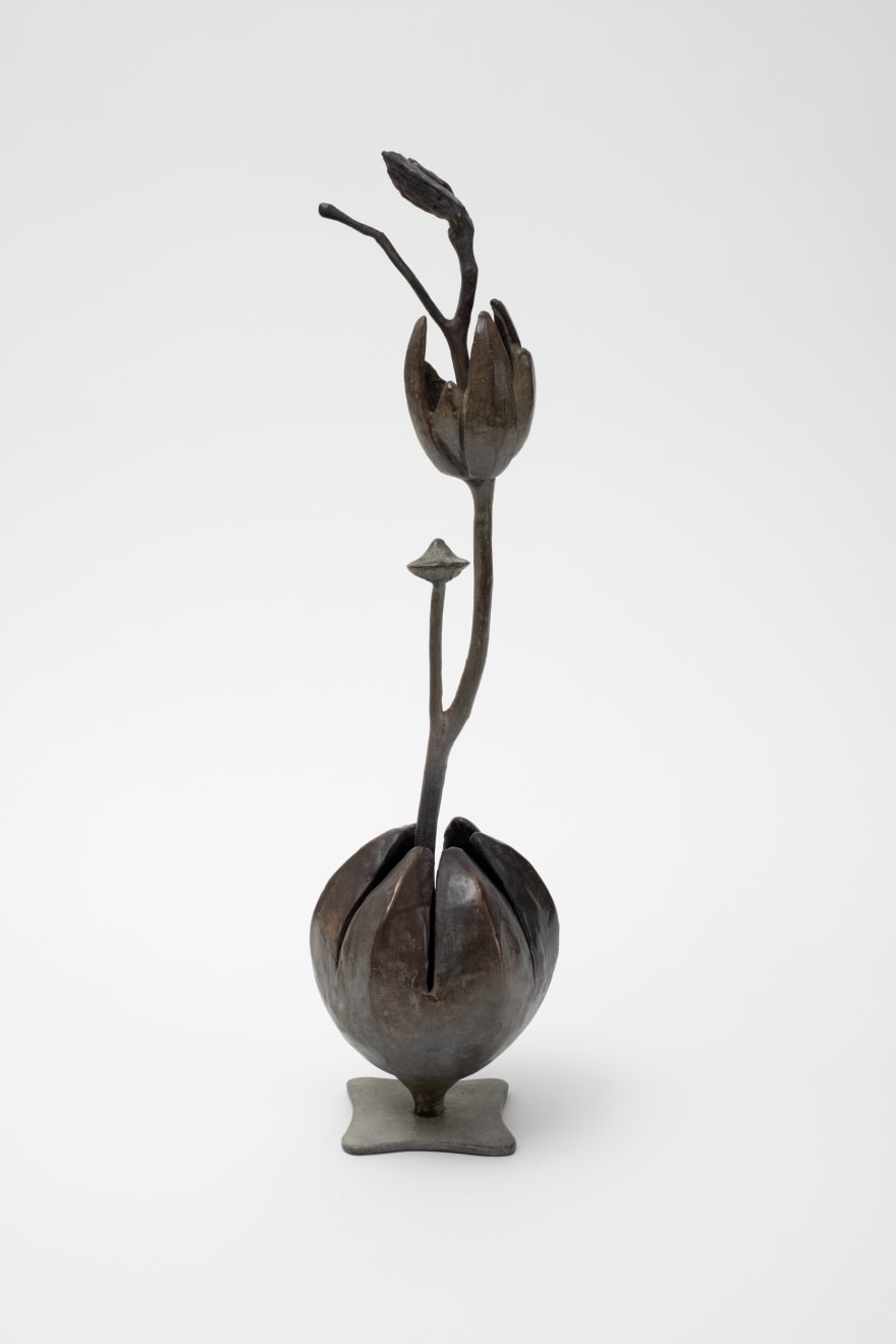 Zoe Amor Cross Pollination Bronze 66 x 16 x 16cm $3,900.00