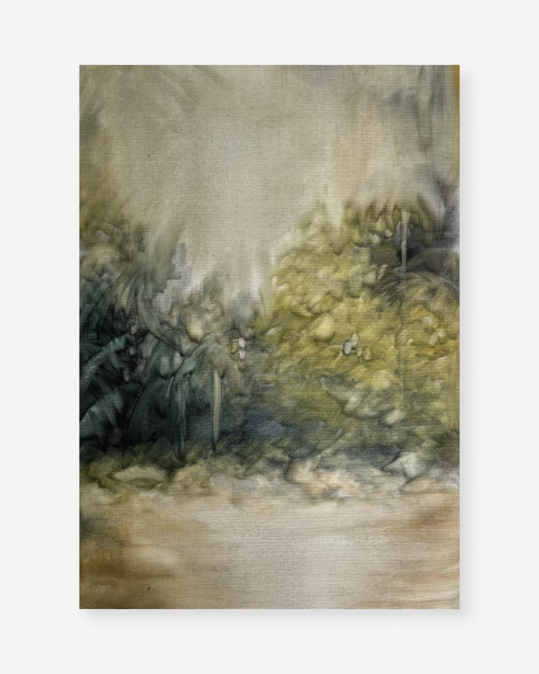 Zarah Cassim June I Oil on Linen 30 x 44.5cm $1,600.00