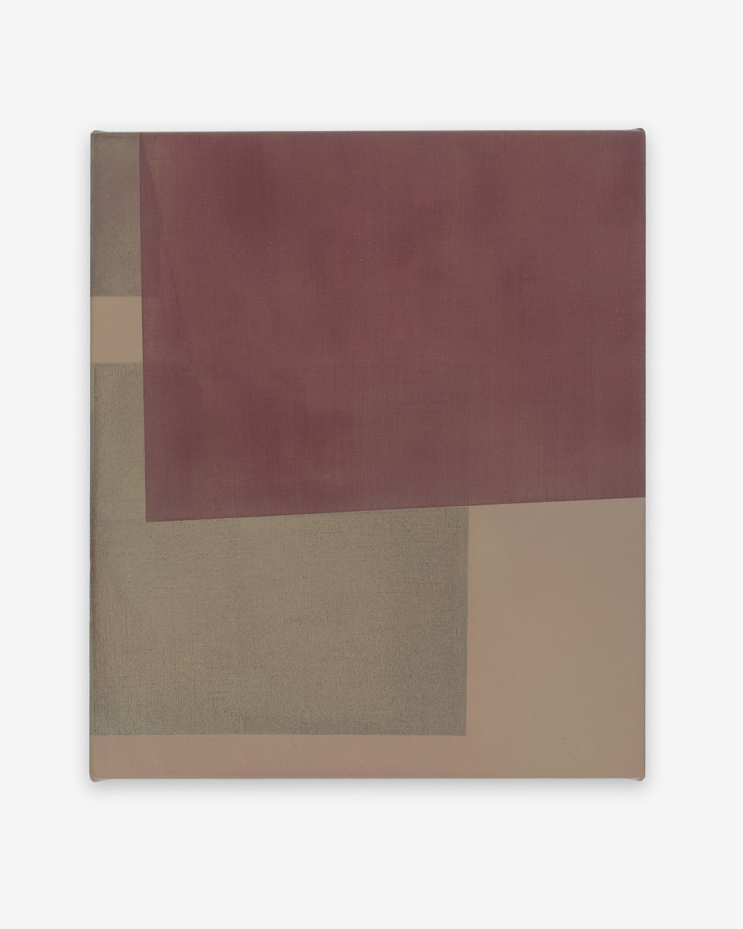 Caroline Collom Rosefilter Oil Paint on Linen 30.9 x 35.8cm $850.00