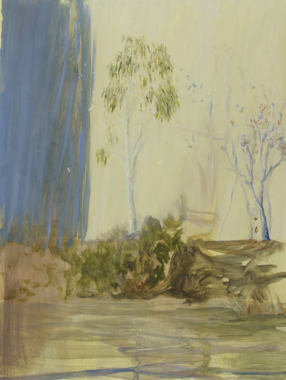 Kathryn Dolby Ghost Gum, Tree Veil Acrylic on Birch Board 60 x 80cm $ 2,750.00