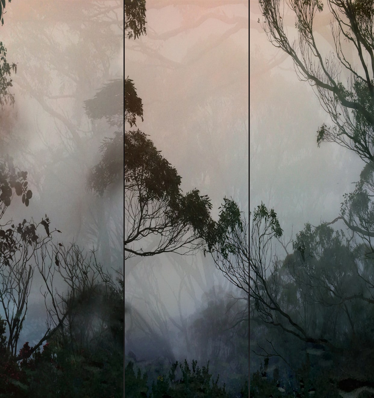 Touching Trees II Archival Pigment Print Limited Edition 10 90 x 95 cm $1700 £850