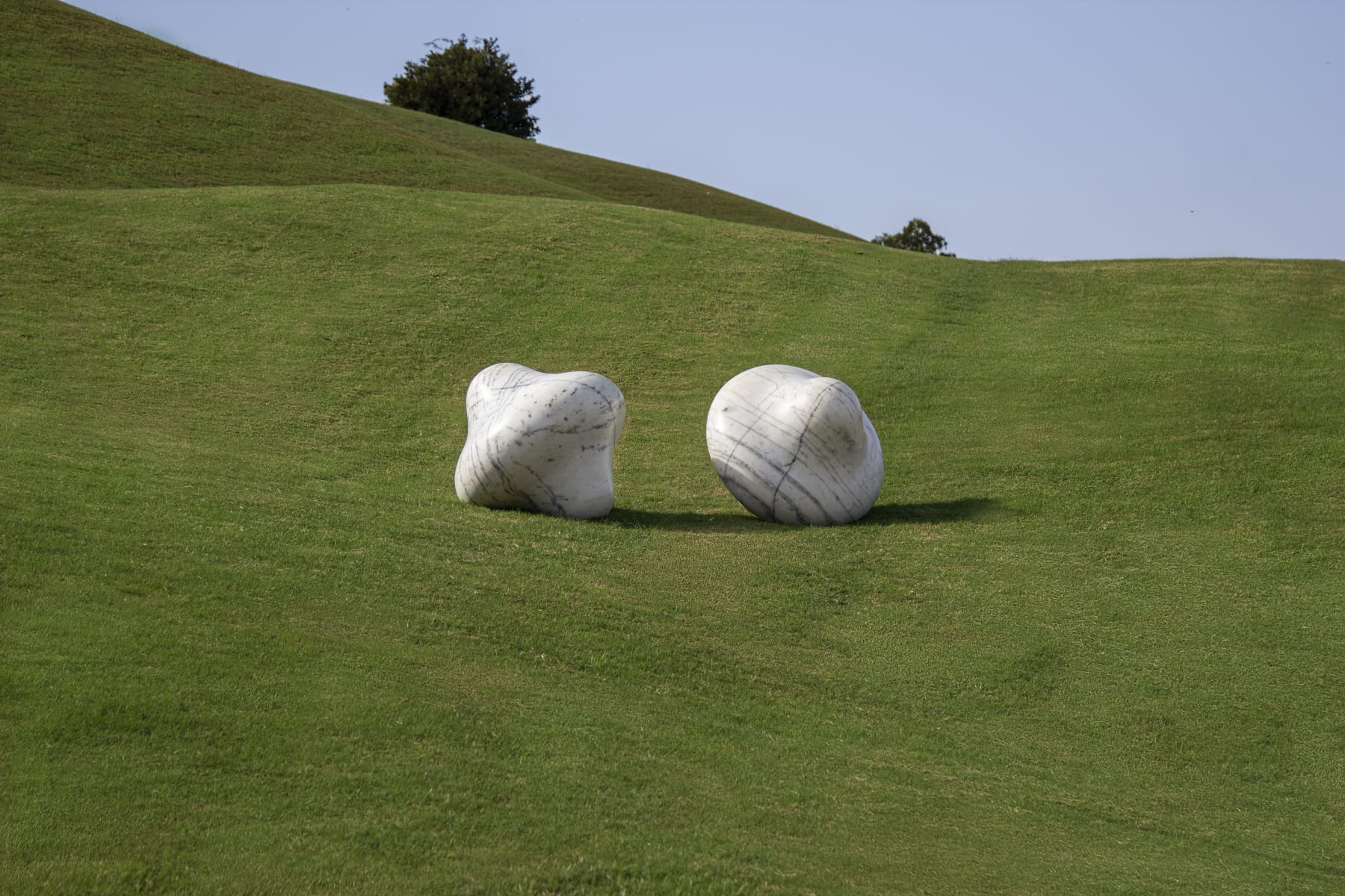 Laura Vinci, Duas graças, 2016