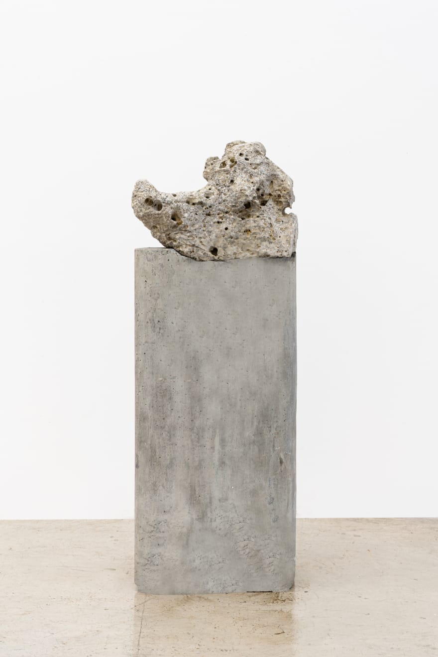 Amelia Toledo, Singing Dragon, 2007