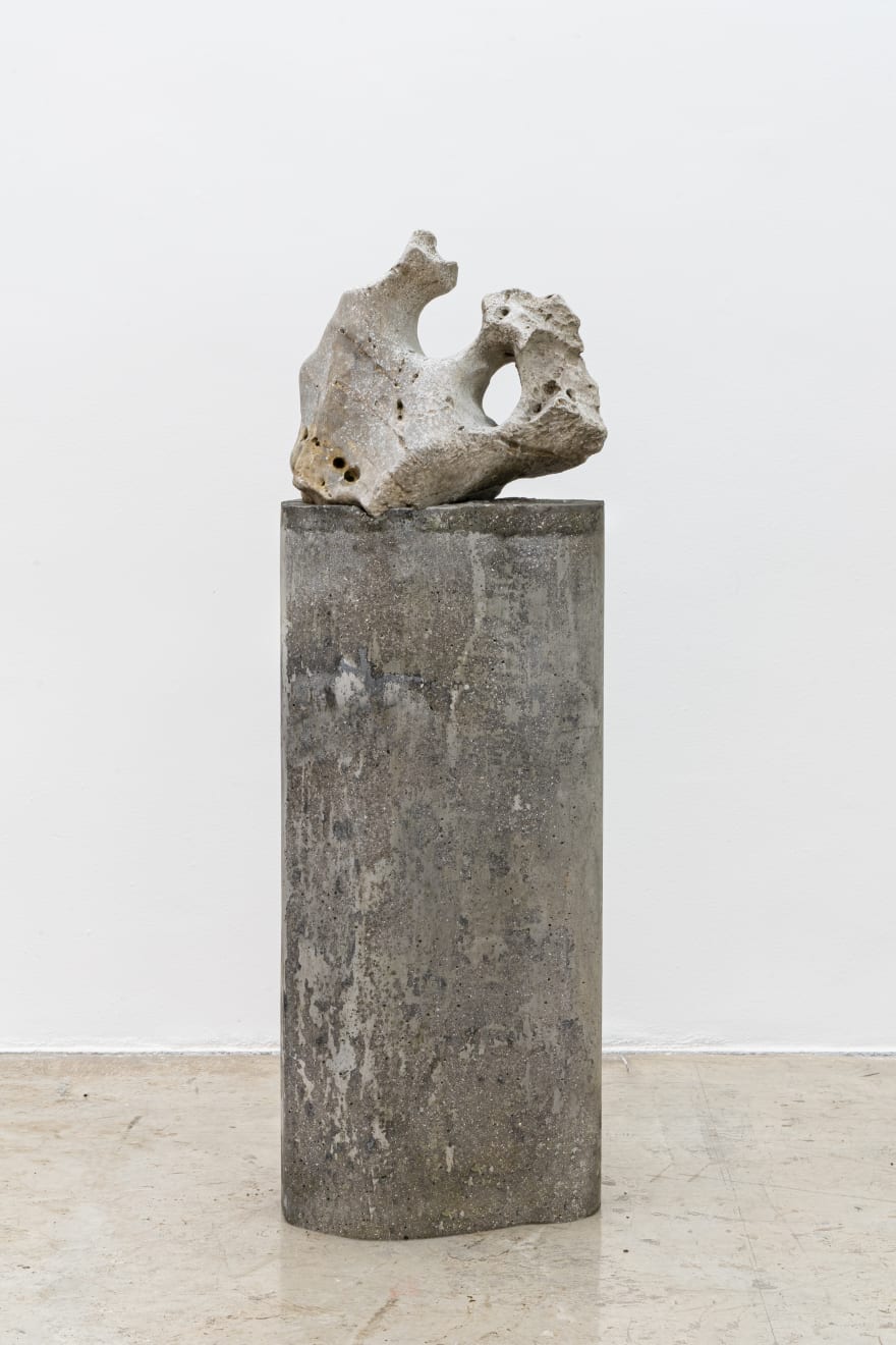 Amelia Toledo, Singing Dragon, 2007