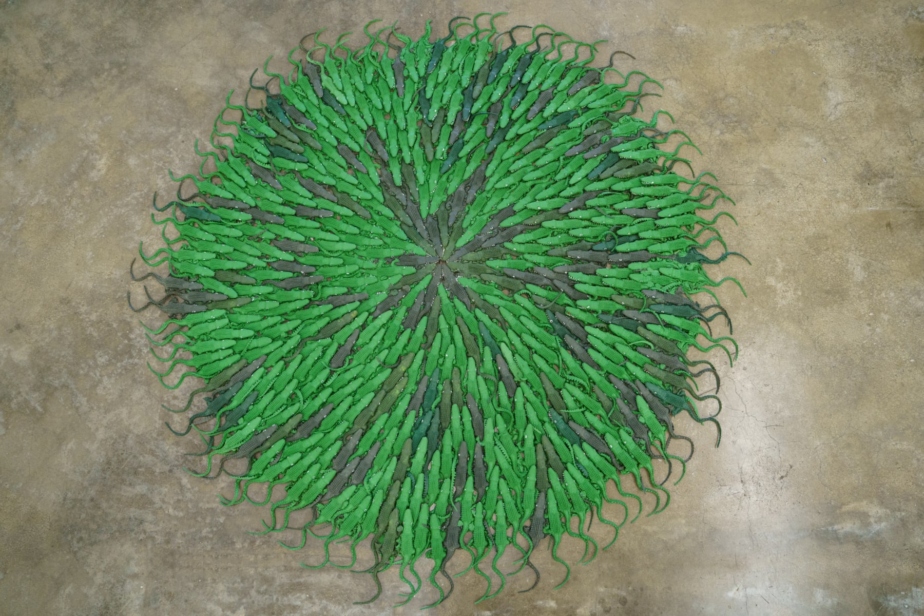 Lia Menna Barreto, Tapete de jacaré, 2003