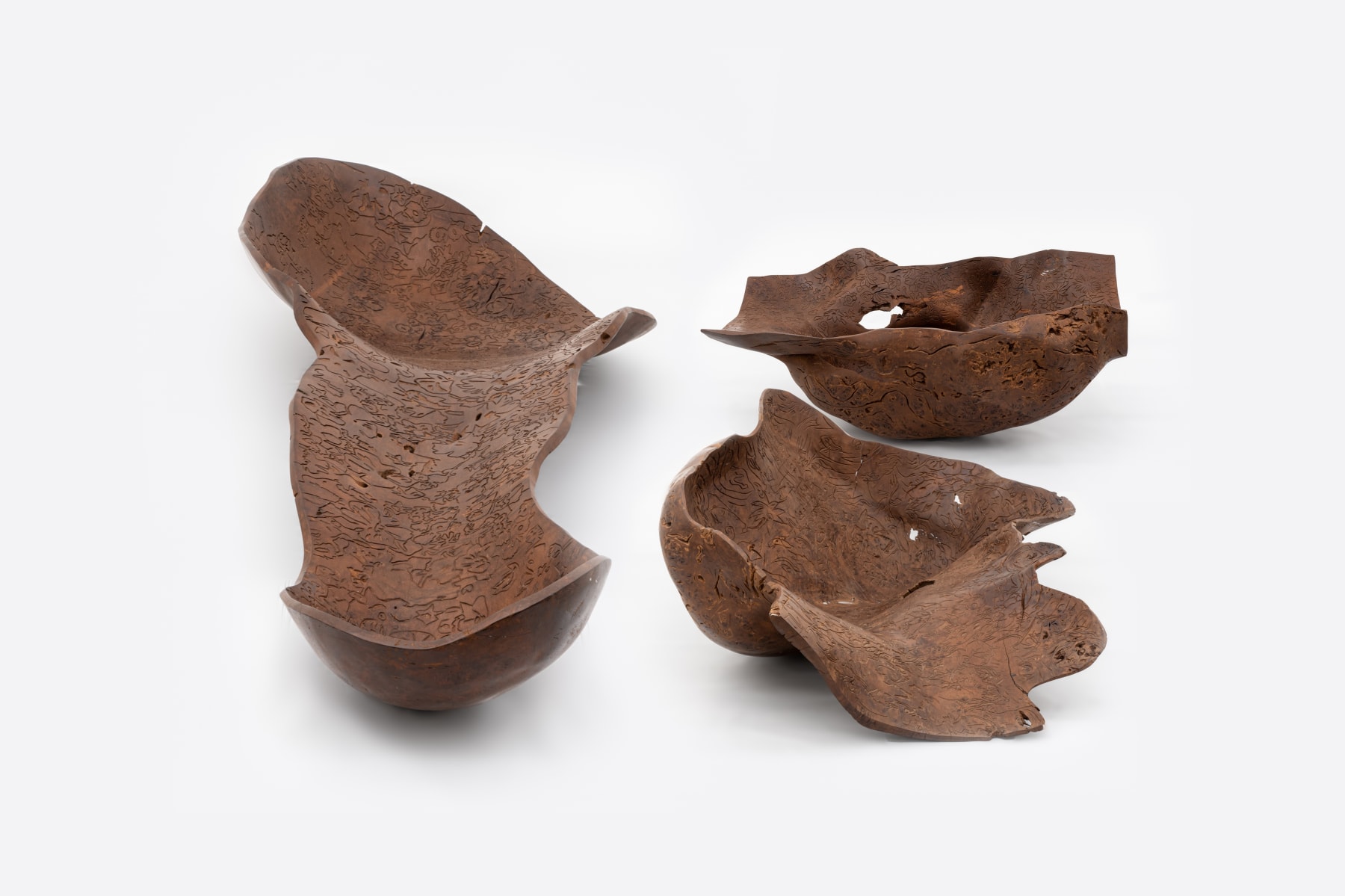 Marcelo Silveira, De natureza viva, 2005 / 2006