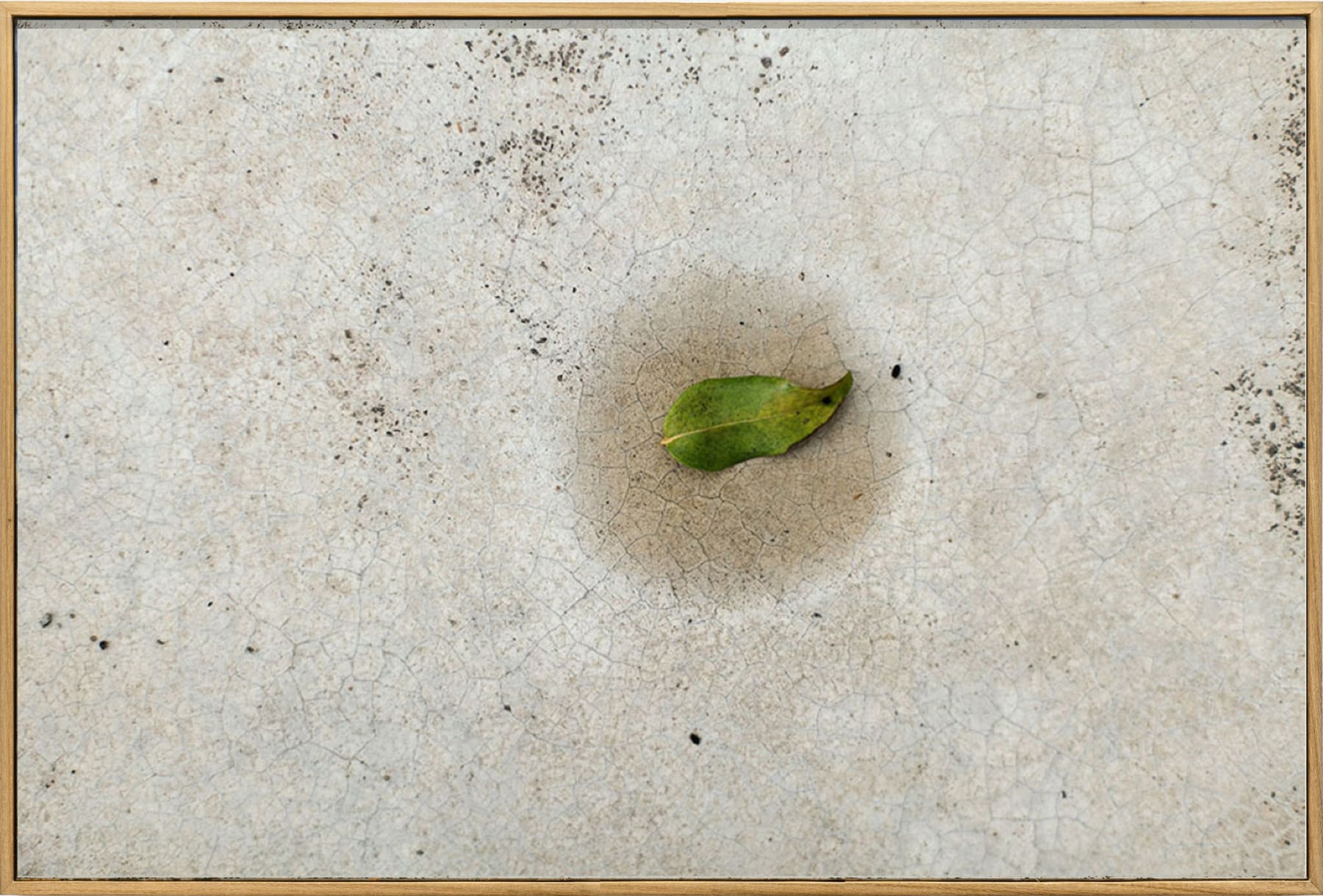 Cao Guimarães, Untitled from the series Moist, 2015