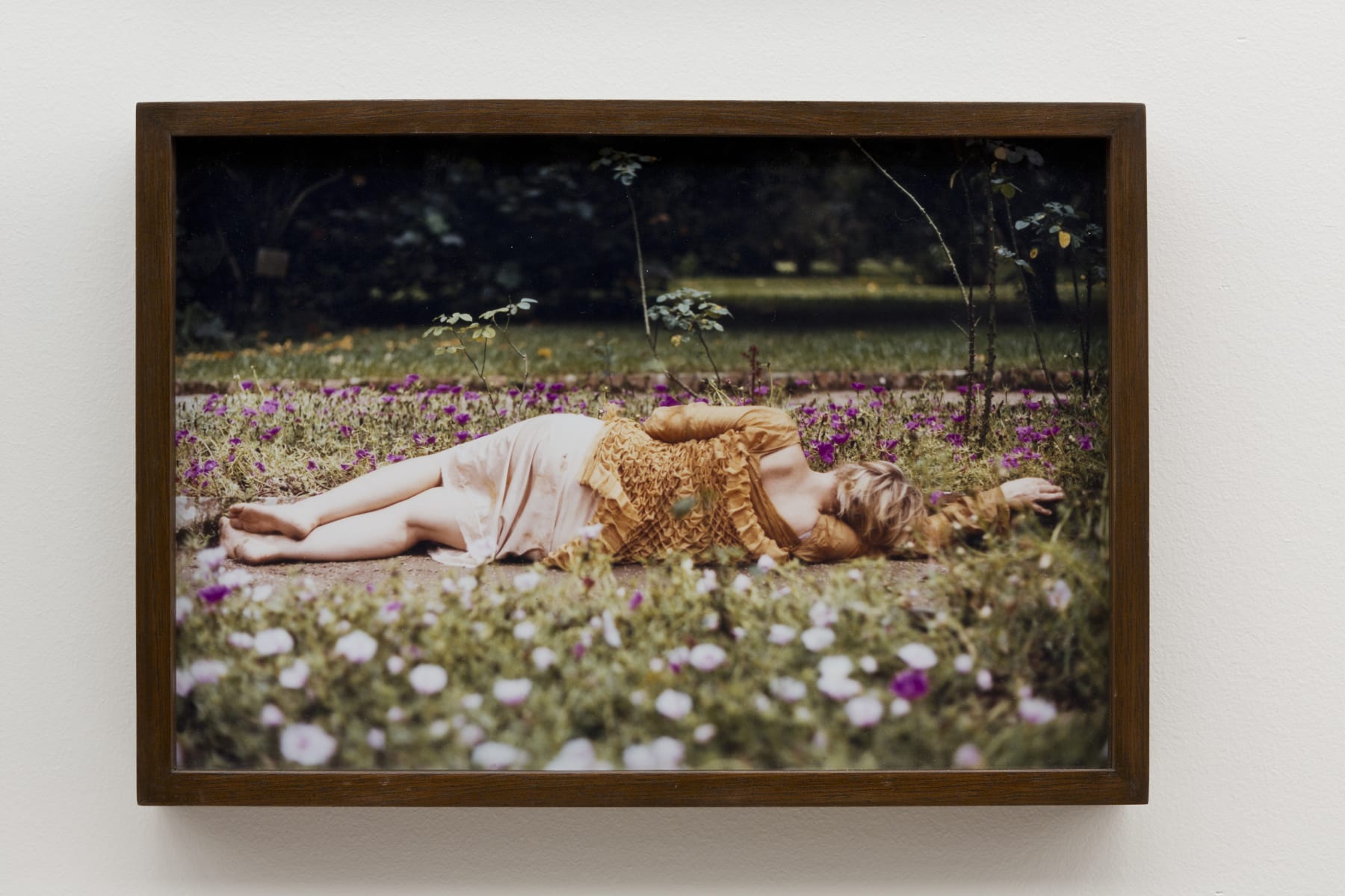 Brígida Baltar, Bee house, 2002