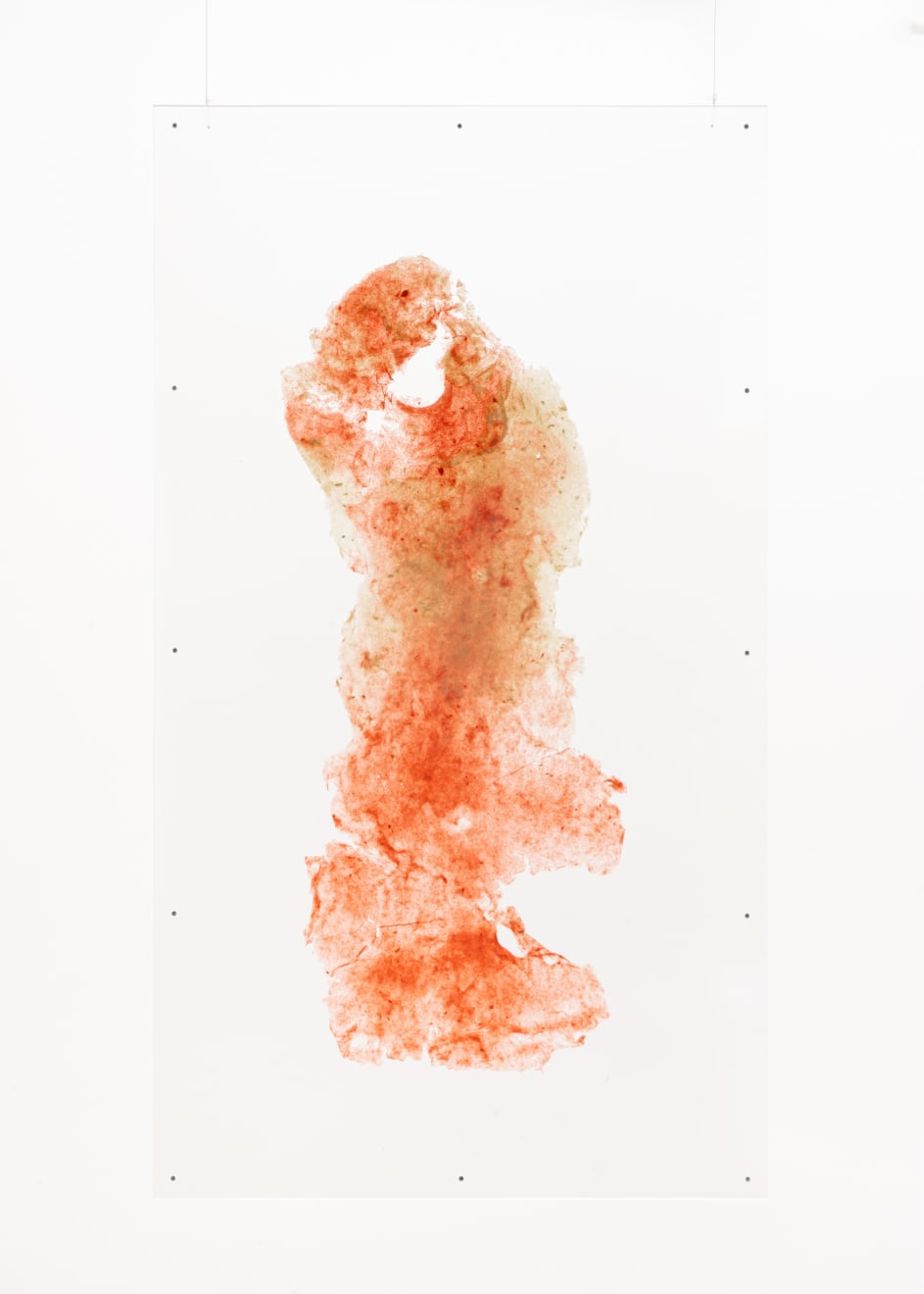 Amelia Toledo, Wisp, undated