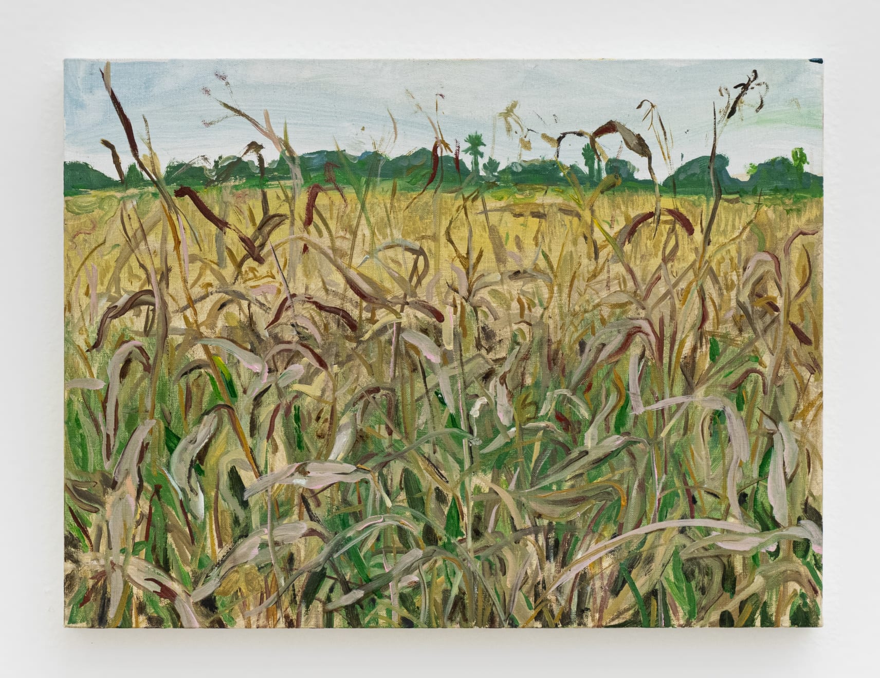 Maria Klabin, Mato Grosso (Pantanal), 2020