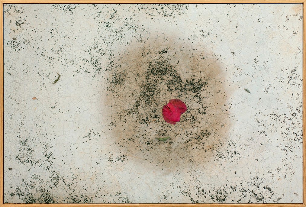 Cao Guimarães, Untitled from the series Moist, 2015